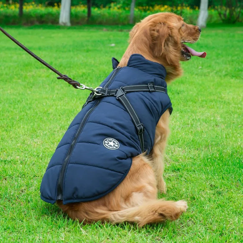 Comfortable & Stylish Dog Harness-Coat | Breezy Pup™