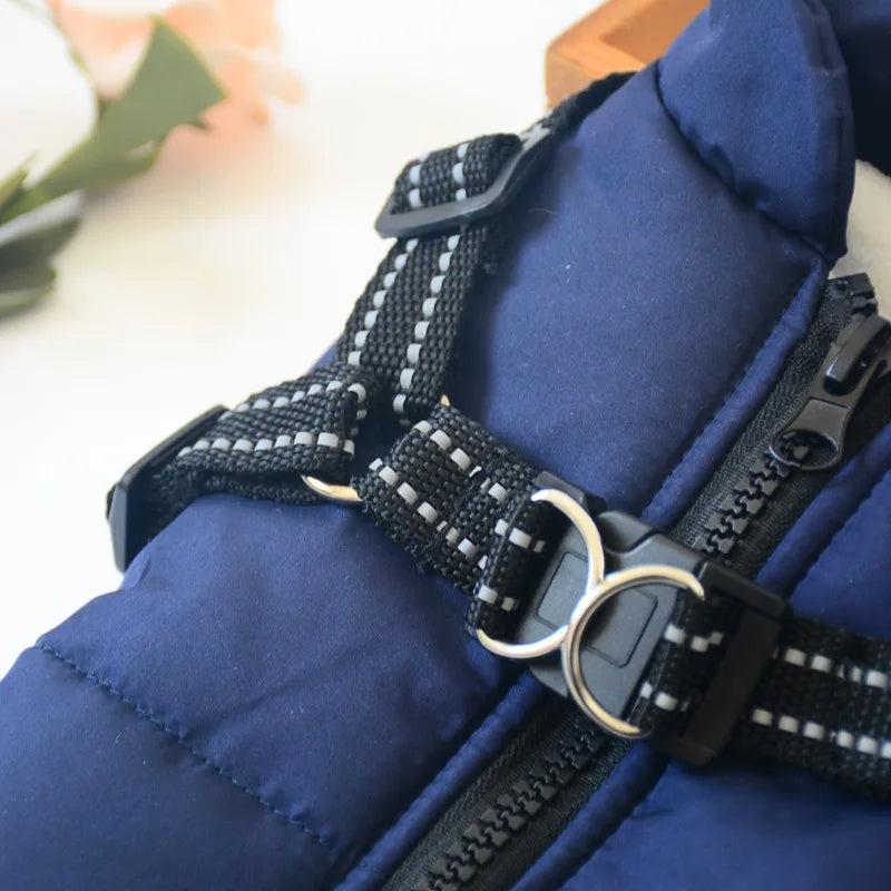 Comfortable & Stylish Dog Harness-Coat | Breezy Pup™