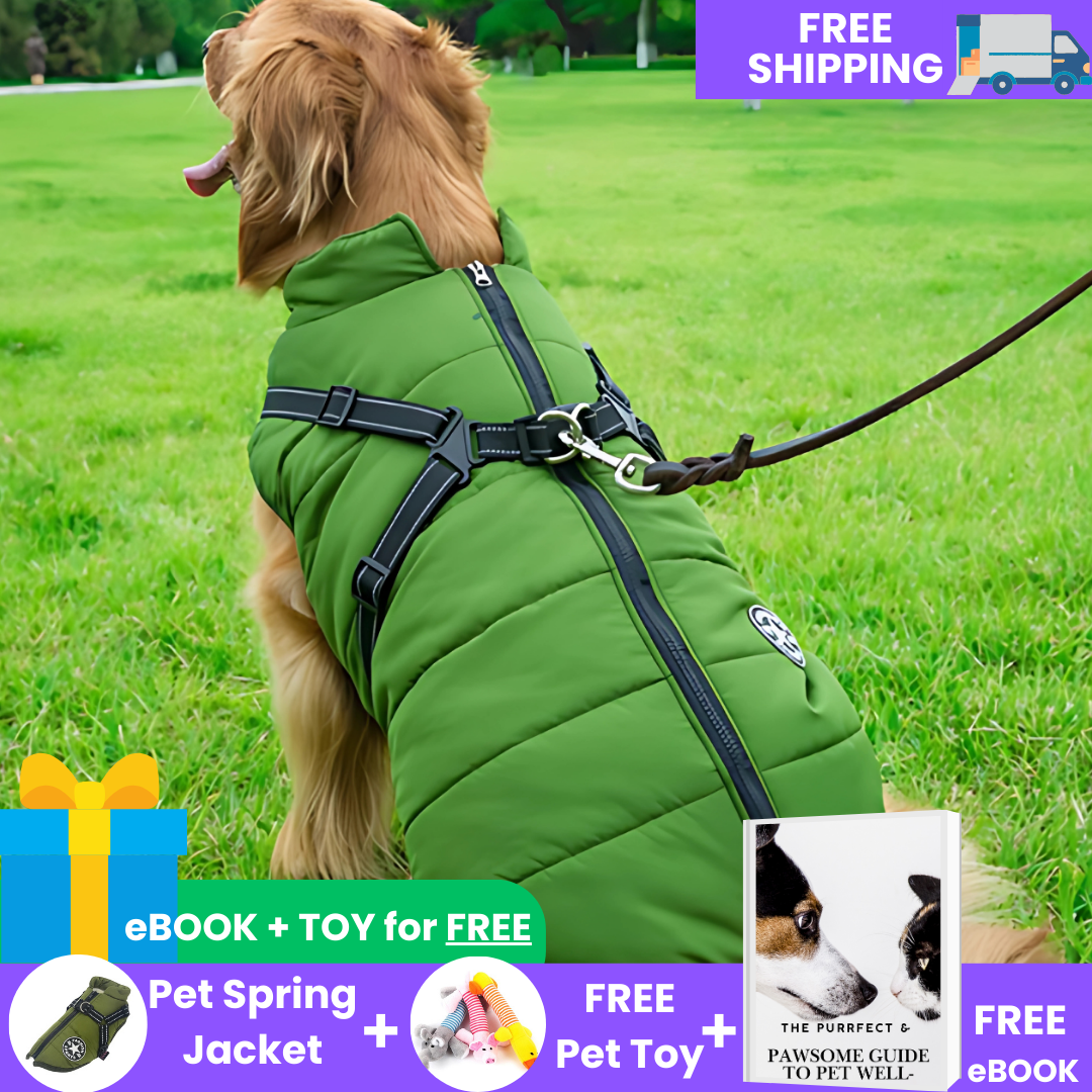 Comfortable & Stylish Dog Harness-Coat | Breezy Pup™