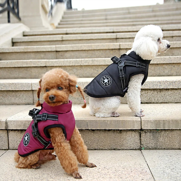 Comfortable & Stylish Dog Harness-Coat | Breezy Pup™