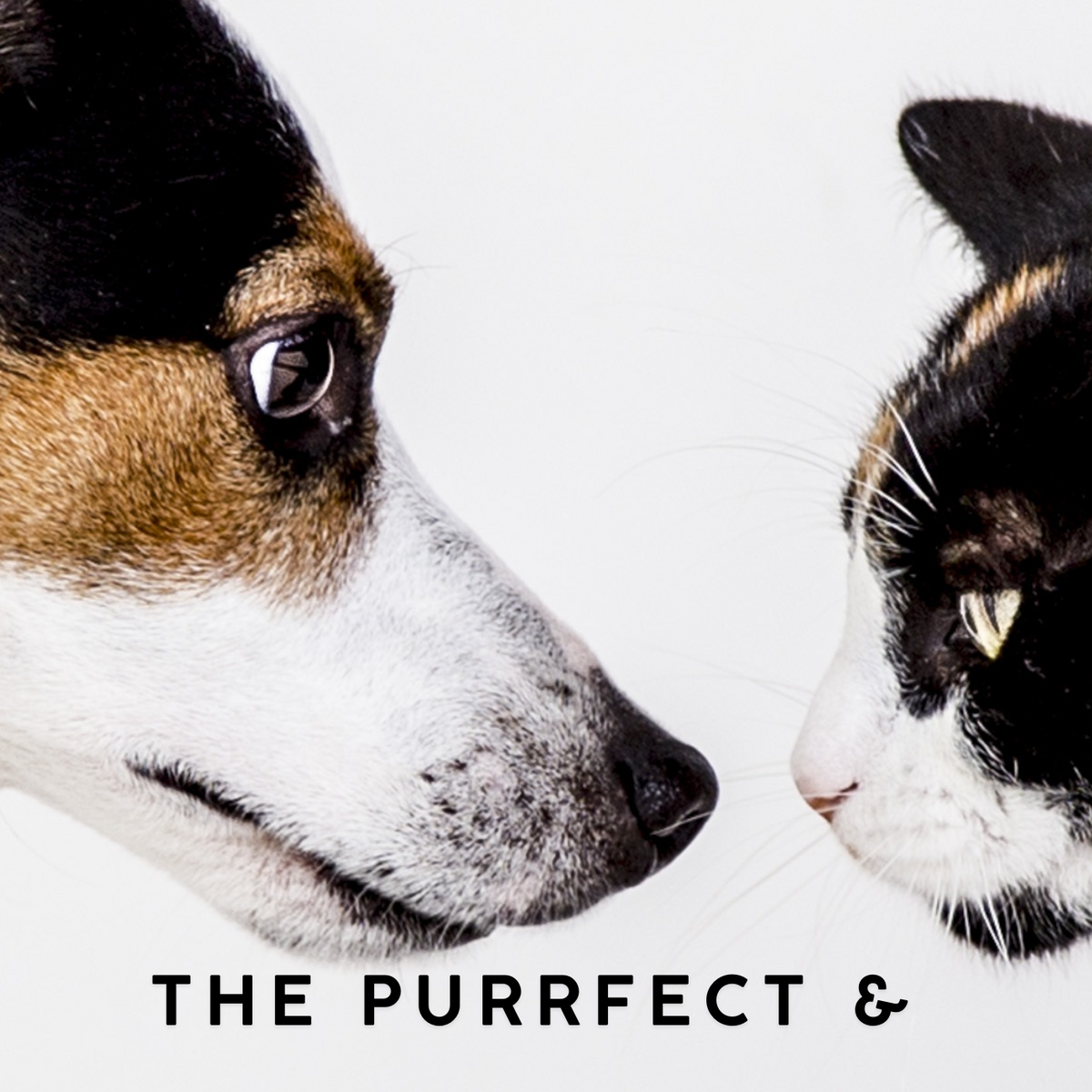 eBook: The Purrfect &amp; Pawsome Guide to Pet Well-Being