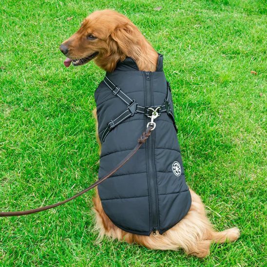 Comfortable & Stylish Dog Harness-Coat | Breezy Pup™