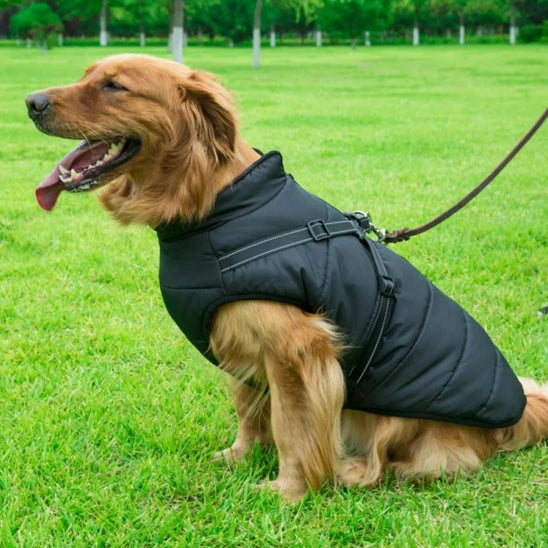 Comfortable & Stylish Dog Harness-Coat | Breezy Pup™