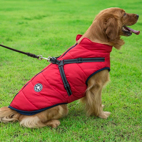 Comfortable & Stylish Dog Harness-Coat | Breezy Pup™