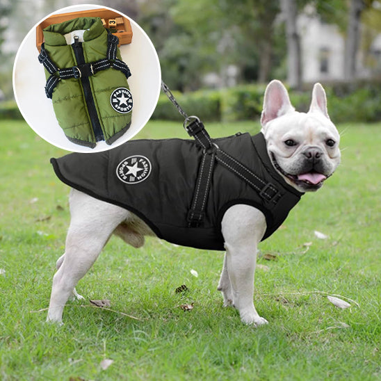 Comfortable & Stylish Dog Harness-Coat | Breezy Pup™