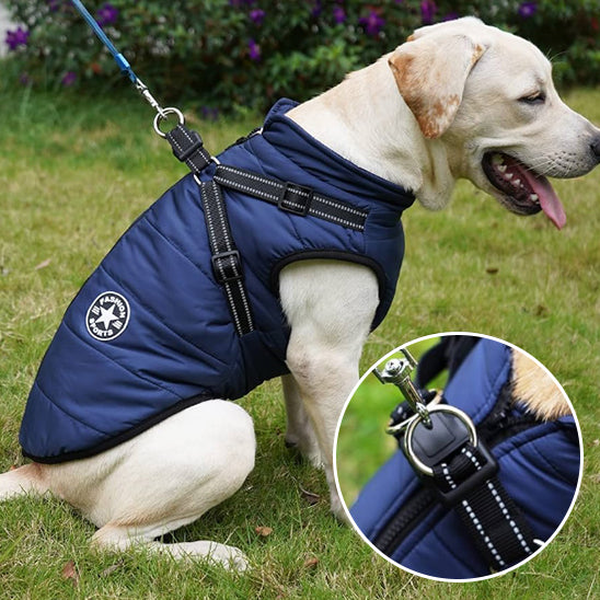 Comfortable & Stylish Dog Harness-Coat | Breezy Pup™