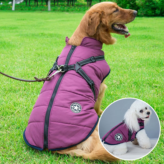 Comfortable & Stylish Dog Harness-Coat | Breezy Pup™