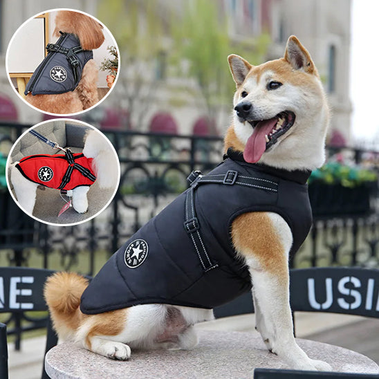 Comfortable & Stylish Dog Harness-Coat | Breezy Pup™